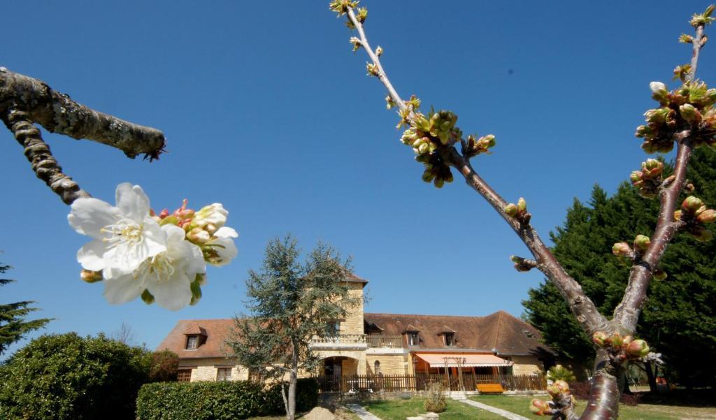 Hotel-Restaurant Les Collines Cublac Exterior photo